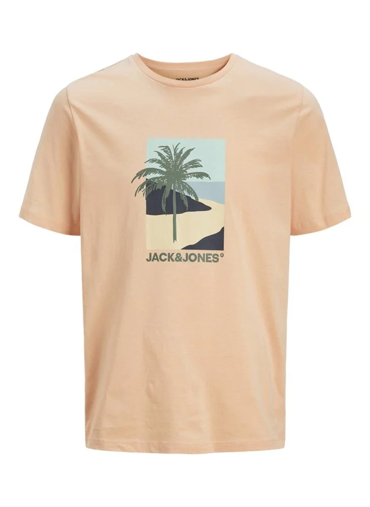JACK & JONES JJBARBADOS TEE SS CREW NECK