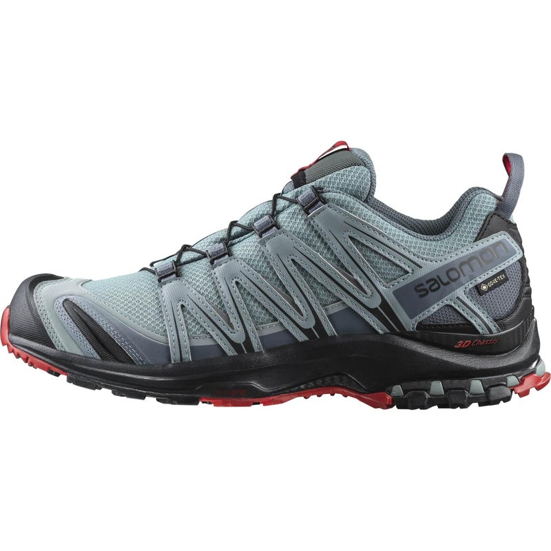Salomon Mens XA PRO 3D GoreTex Waterproof Trail Running Shoes LeadBlackBarbados Cherry 12