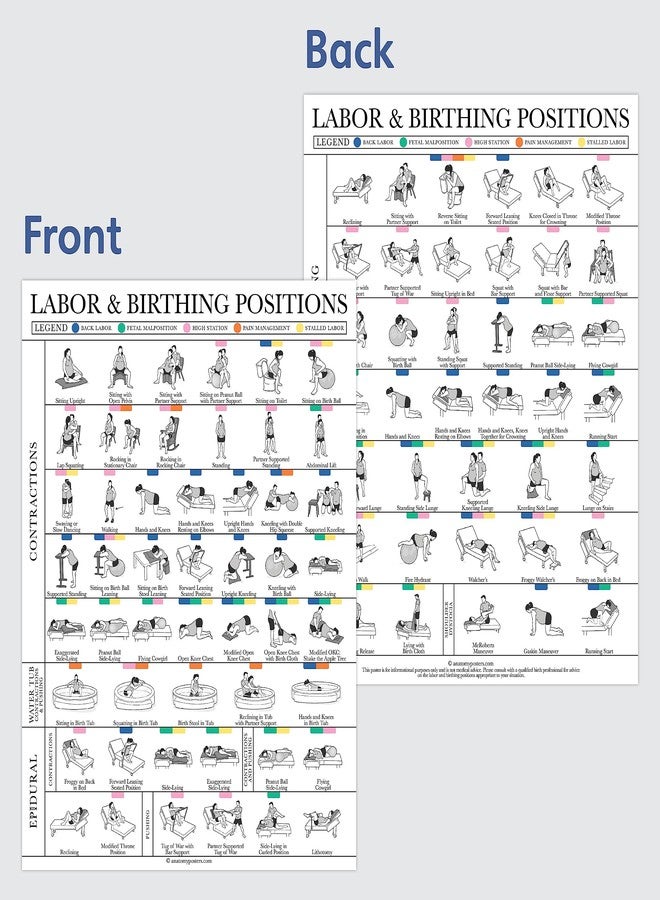 Palace Learning Labor & Birthing Positions Tearsheet Handout - Childbirth Education for Doula, Midwife or Birthworker - Set of 100-8.5" x 11" - Image 4