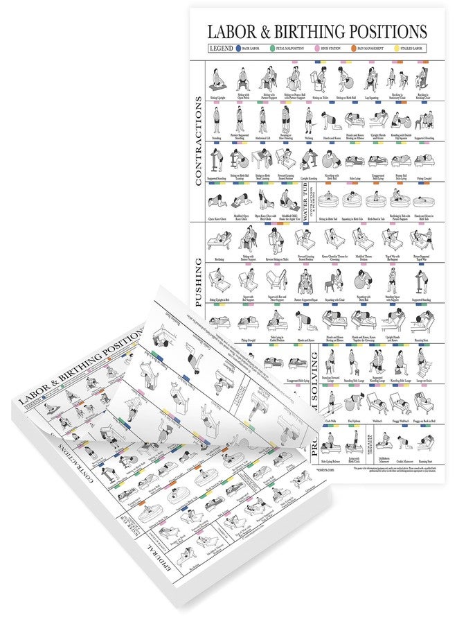 Palace Learning Labor & Birthing Positions Tearsheet Handout - Childbirth Education for Doula, Midwife or Birthworker - Set of 100-8.5" x 11" - Image 1