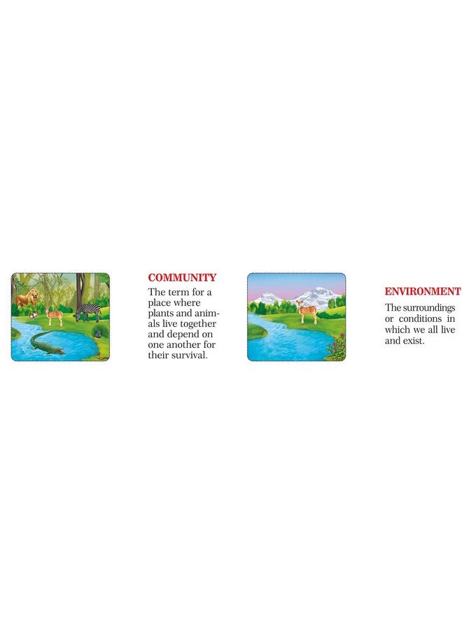 Creative's Creative's Science Knowledge Boosters, Habitats, Multi Color  - Image 2