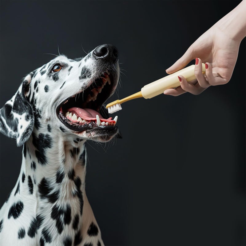 Dual Head Pet Toothbrush With Soft Bristles And Non Slip Grip For Cats And Dogs - Image 5