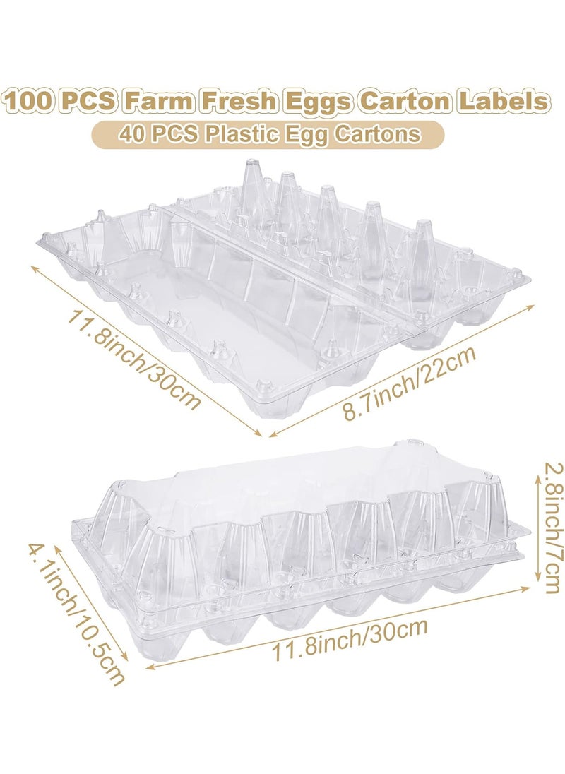 SENENQU SENENQU 40 Pack Plastic Egg Cartons Cheap Bulk Empty Clear Plastic Egg Carton Holds Up to 12 Eggs Dozen Reusable Chicken Egg Tray Holders for Family Pasture Farm Market Display Storage 2x6 Grid  - Image 2