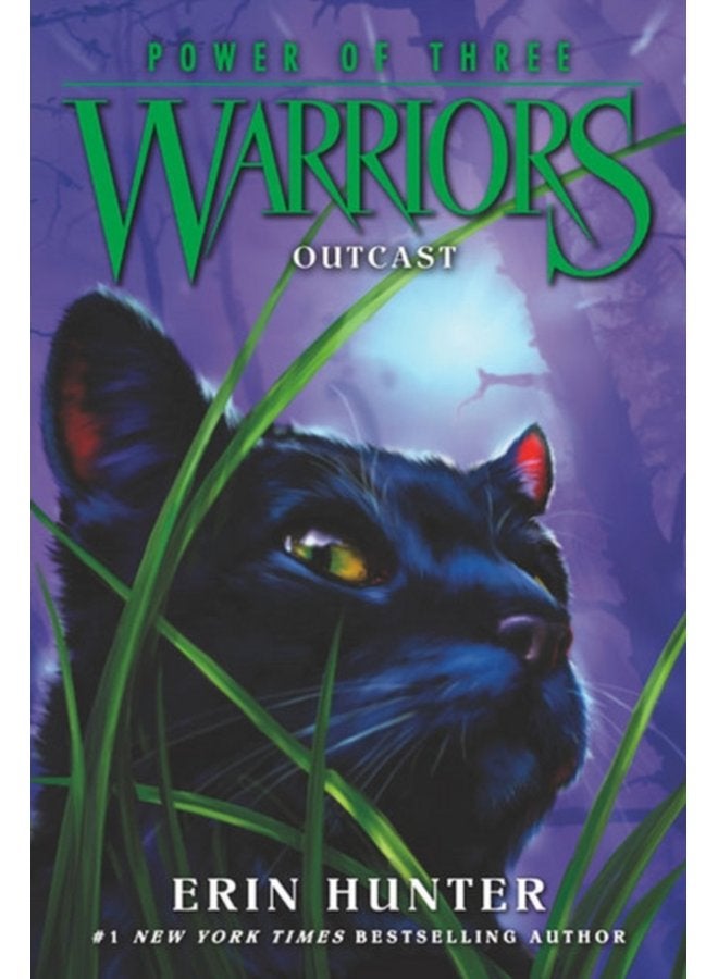 Warriors Power of Three 3 Outcast - Paperback