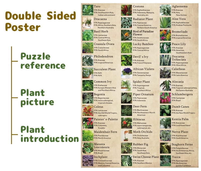 BBOLDIN Vintage Houseplant Puzzle 1000 Pieces for Adult, Botany Succulent House Plant Puzzle, 39 Common Indoor Plants Jigsaw Puzzles - Image 2