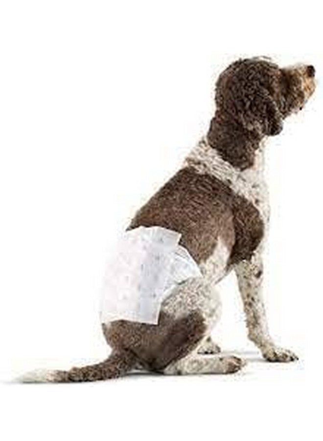 حفاضات Pups&Pets Dogs التي تستخدم لمرة واحدة للجراء والكلاب، عبوة من 12 قطعة (متوسطة - 430 مم × 300 مم) - Image 3