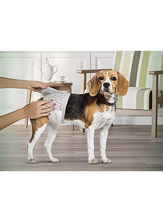 حفاضات Pups&Pets Dogs التي تستخدم لمرة واحدة للجراء والكلاب، عبوة من 12 قطعة (متوسطة - 430 مم × 300 مم) - Image 4