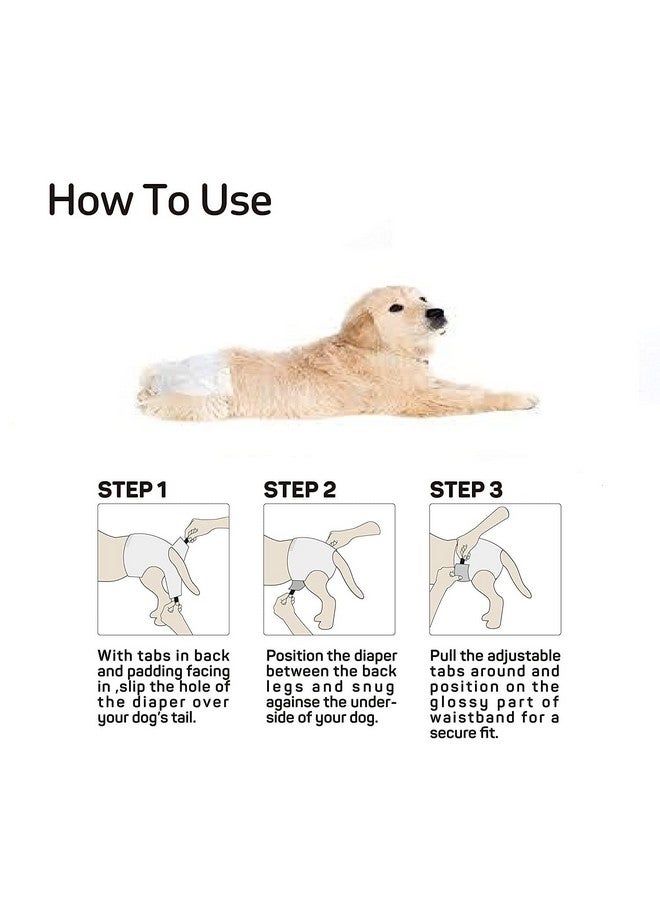 حفاضات Pups&Pets Dogs التي تستخدم لمرة واحدة للجراء والكلاب، عبوة من 12 قطعة (متوسطة - 430 مم × 300 مم) - Image 2