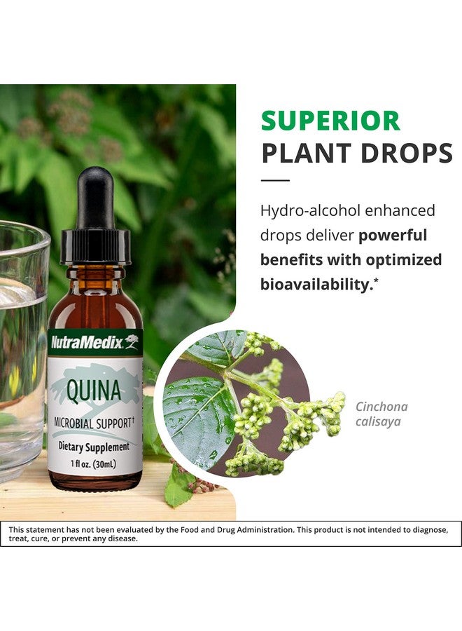 Nutramedix Quina Drops Immune System  Healthy Inflammatory Response Support Liquid Tincture With Calisaya Bark Extract Bioavailable Liquid Supplement May Support Occasional Brain Fog 1Oz  30Ml - Image 4