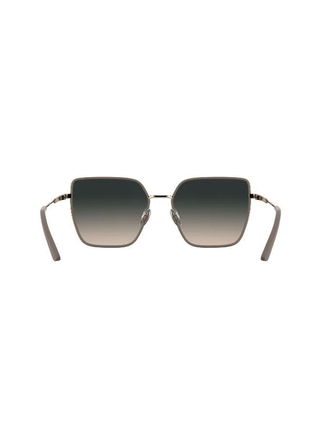 CALVIN KLEIN Butterfly Sunglasses