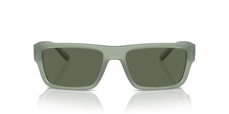 ARNETTE Sunglasses AN 4338 293971 Frosted SageDark Green Policarbonate Standa
