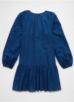 American Eagle Puff Sleeve Drop Waist Shirt Ruffle Hem Dress 