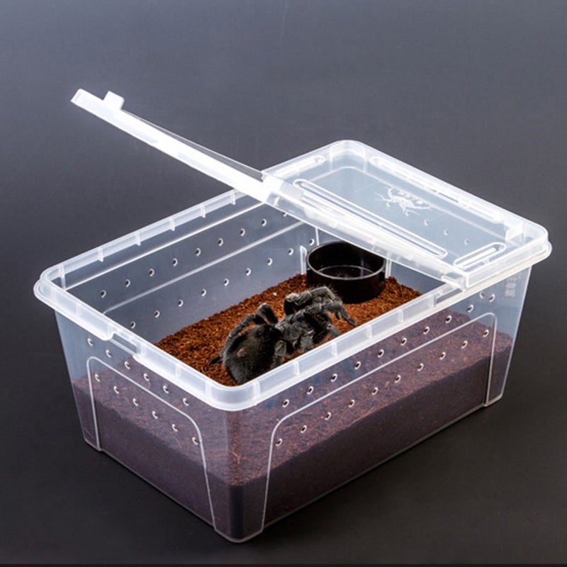 10pcs Reptile Food Water Feeder Tortoise Feeding Bowl Spider Food Dish Round Snake Feeder (Random Color) - Image 3