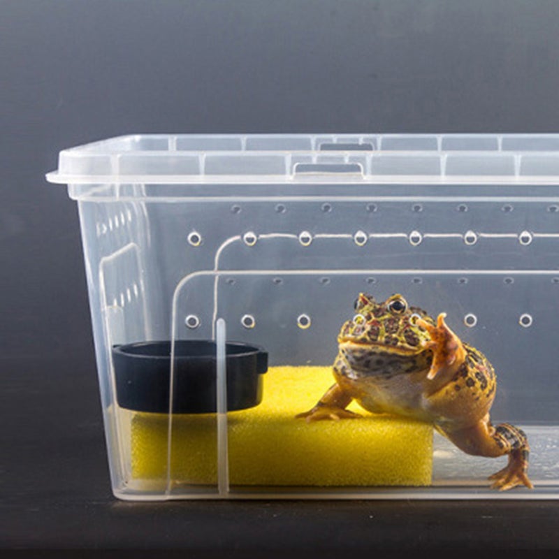 10pcs Reptile Food Water Feeder Tortoise Feeding Bowl Spider Food Dish Round Snake Feeder (Random Color) - Image 1