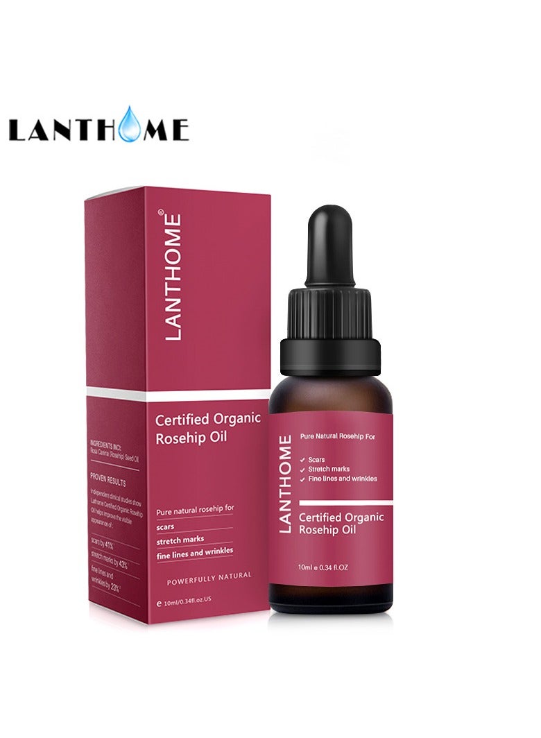 Lanthome Rosehip Oil Essence, Moisturizing And Moisturizing Skin Care Facial Care Essential Oil, (1pc, 10ml) - Image 1