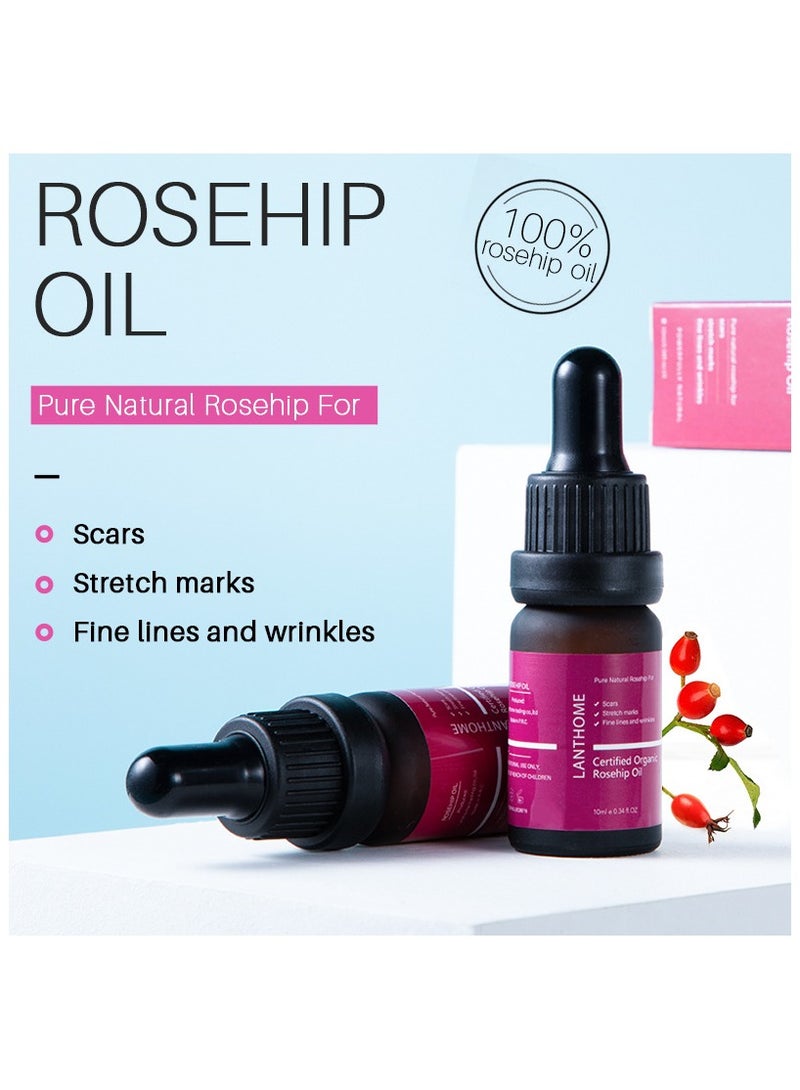 Lanthome Rosehip Oil Essence, Moisturizing And Moisturizing Skin Care Facial Care Essential Oil, (1pc, 10ml) - Image 2