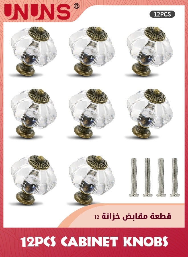 UNUNS 12-Piece Cabinet Knobs,Pumpkin Cabinet Knobs,Retro Dresser Knobs With Screws For Closet Drawer Cupboard Cabinet And DIY Home Project - Image 1