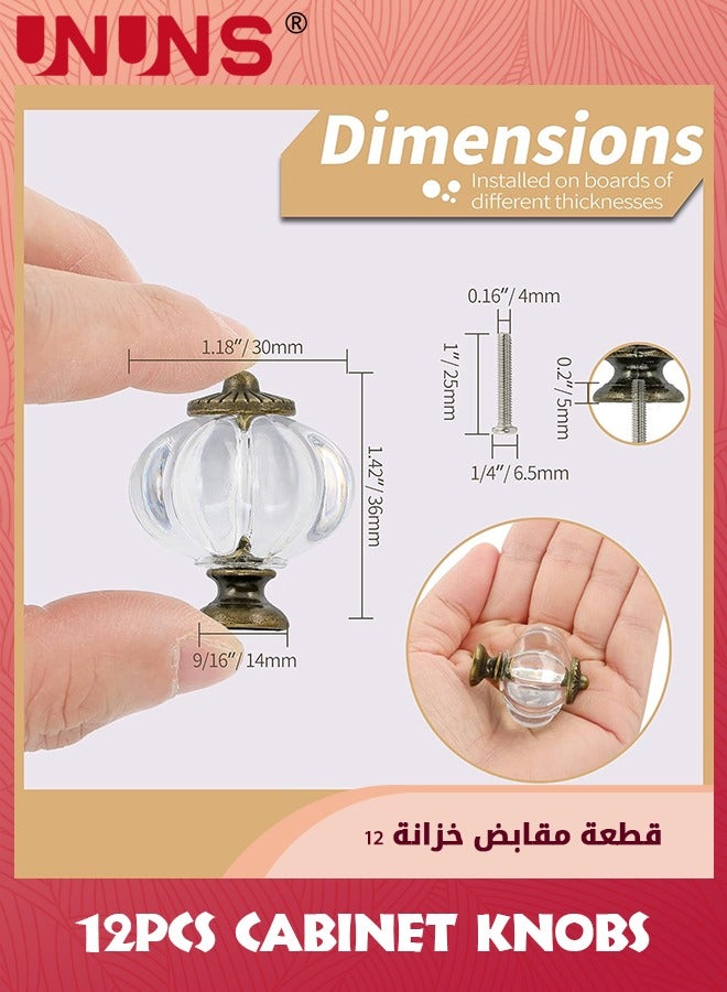 UNUNS 12-Piece Cabinet Knobs,Pumpkin Cabinet Knobs,Retro Dresser Knobs With Screws For Closet Drawer Cupboard Cabinet And DIY Home Project - Image 4