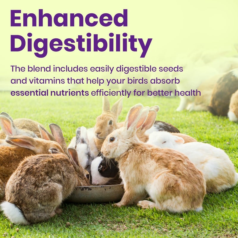 BRANDSFINITY Premium Rabbit Feed (1kg) - Image 3