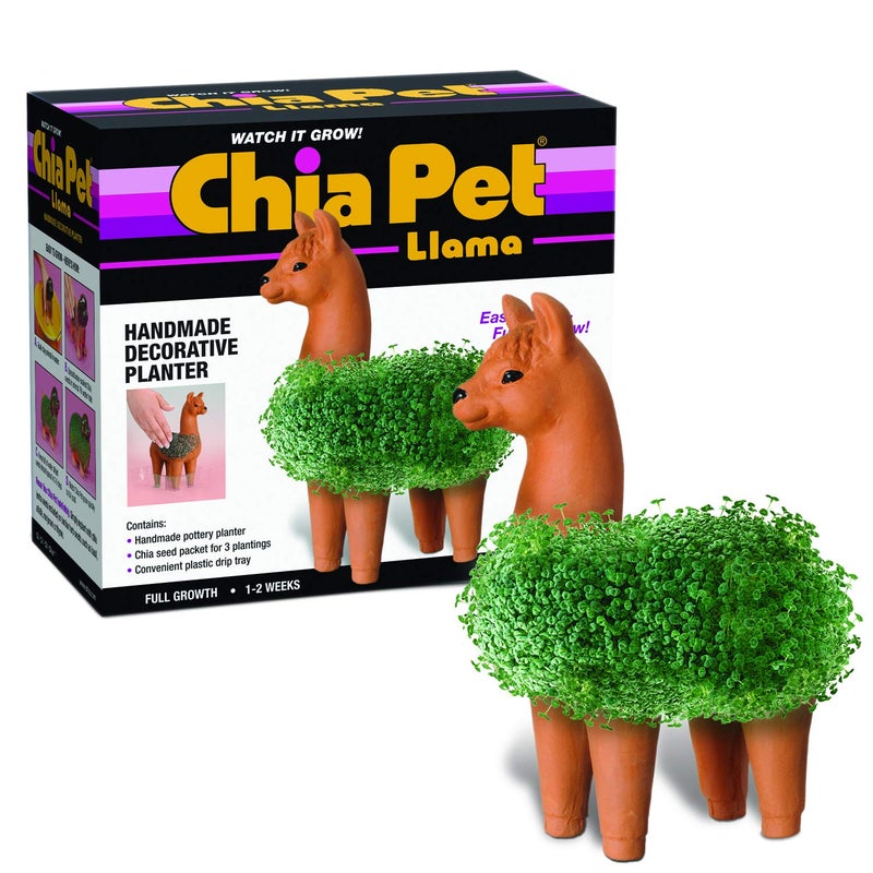 Chia CP439-01 Pet Llama Decorative Pottery Planter, Easy to Do and Fun to Grow - Image 1