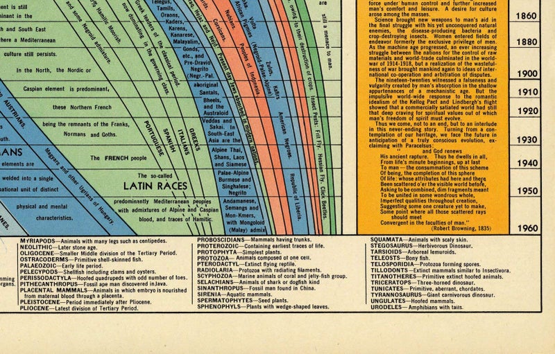 ArtCantHurtU Histomap of Evolution Timeline Poster Chart - Gifts for Researchers - Visual Map Graph - Classroom Must Haves Decorations - Teacher Gifts - Educational Learning Homeschooling Paleontology (23x62) - Image 4