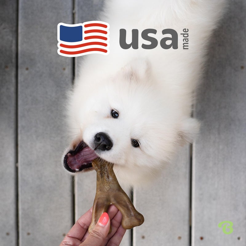Benebone Wishbone Durable Dog Chew Toy for Aggressive Chewers, Real Bacon, Made in USA, Tiny - Image 5
