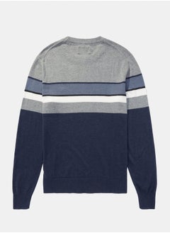 AE Striped Crew Neck Sweater - pzsku/ZF9007686ECDADEEA6E01Z/45/_/1732563930/ffb2da4e-d2b8-49d7-9fa1-cf9cb59cc749