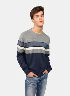 AE Striped Crew Neck Sweater - pzsku/ZF9007686ECDADEEA6E01Z/45/_/1732563931/224ff3e3-4d62-40bb-80ba-04d569157dea