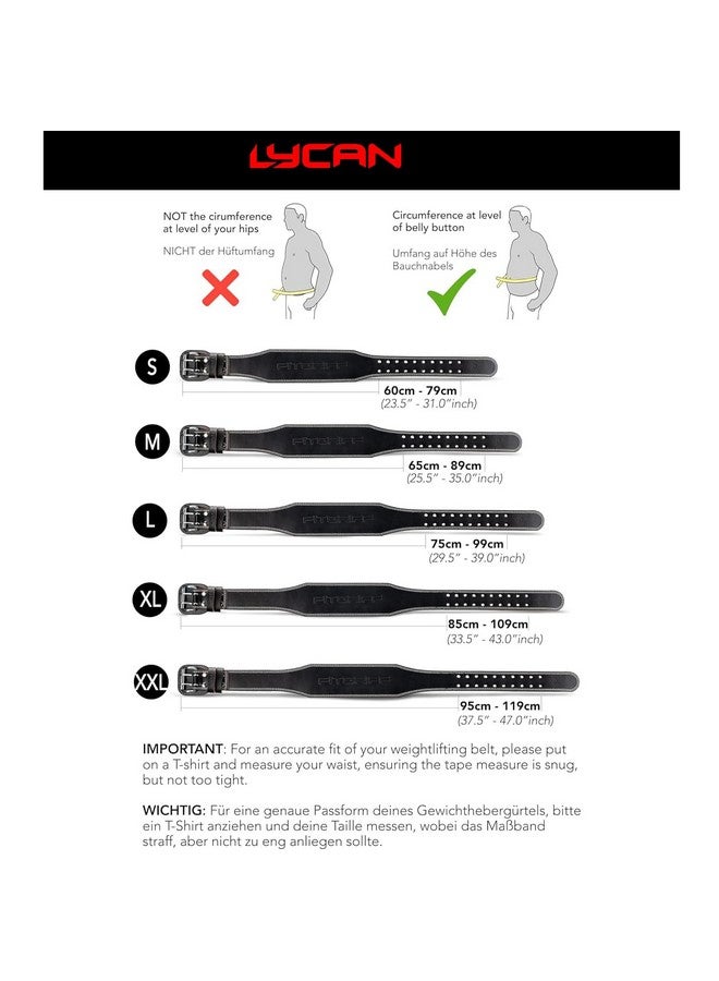LYCAN حزام رفع الأثقال ليكان 100% جلد - حزام رياضي مبطن بعرض 4 بوصات للرجال والنساء - دعم للظهر لرفع الأثقال - يضمن الراحة والحماية (M) - Image 4