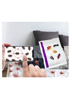 Generic Bed Bugs and Other Insects Powder Insecticides 10x100g  - Image 3