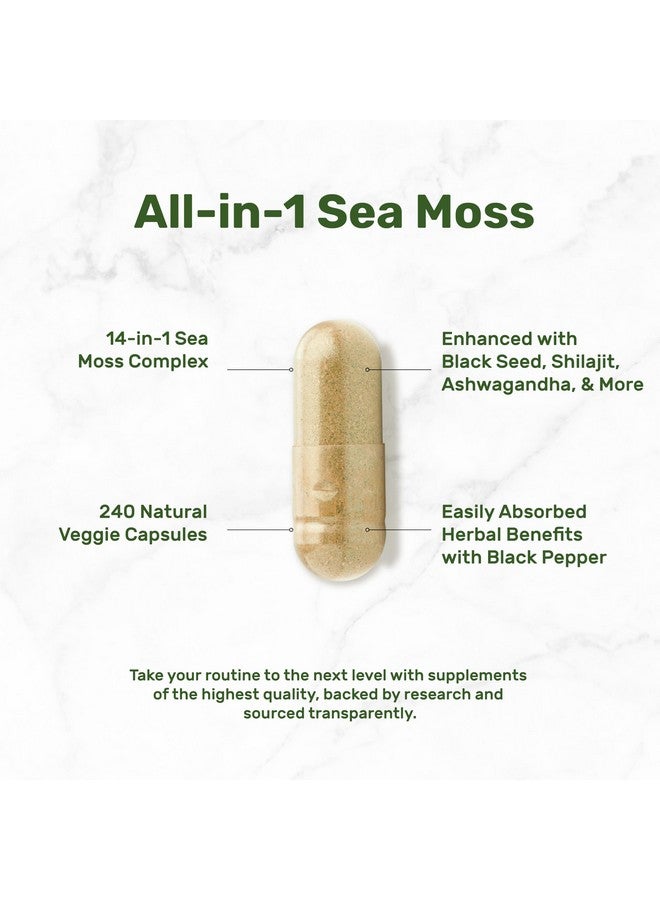 DEAL SUPPLEMENT مكمل DEAL طحالب البحر الأيرلندية 7000 ملغ لكل حصة، 240 كبسولة نباتية - 14 مركب سوبر فود - 3000 ملغ زيت حبة البركة، 2000 ملغ أشواغاندا، 600 ملغ زنجبيل - Image 3