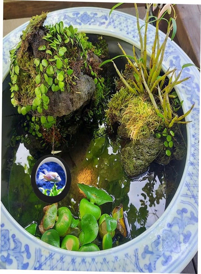 ORFOFE Acrylic Floating Pond Cover 7.48-Inch Transparent Dome with Black Base Waterproof Fish Observation Dome for Outdoor Garden Pools - Image 5