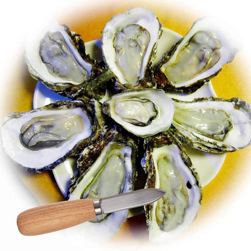 DOMG 10Pcs Oyster Clam Shucking Knife Opener with Wooden Handle - Image 3