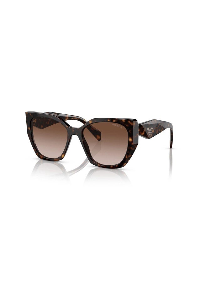 PRADA Woman PILLOW  SUNGLASSES- PR 19ZS - lense size:55mm - TORTOISE - Image 1