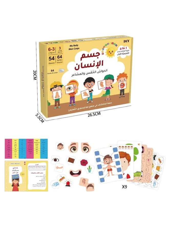 Montessori Arabic Early Education Card Games, Face, Body and Senses Exploration Interactive Learning Cards Kit, Arabic Learning Toy for Kids  - Image 2