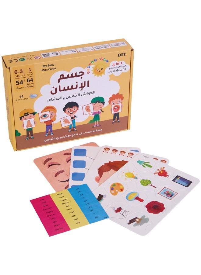 Montessori Arabic Early Education Card Games, Face, Body and Senses Exploration Interactive Learning Cards Kit, Arabic Learning Toy for Kids  - Image 3