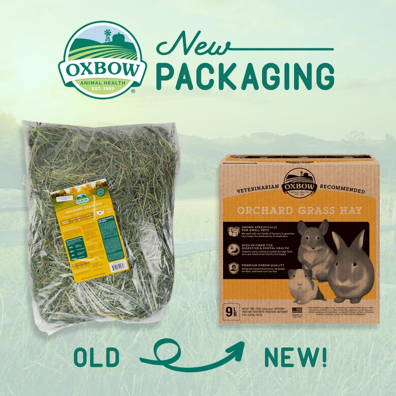 Oxbow Animal Health Orchard Grass, Guinea Pig Hay, Rabbit Hay, Small Pet Bunny Supplies, All Natural Grass for Guinea Pig, Bunny, Chinchilla & Hamster, Oxbow Rabbit Supplies for Bunnies, 9 lb. box - Image 2