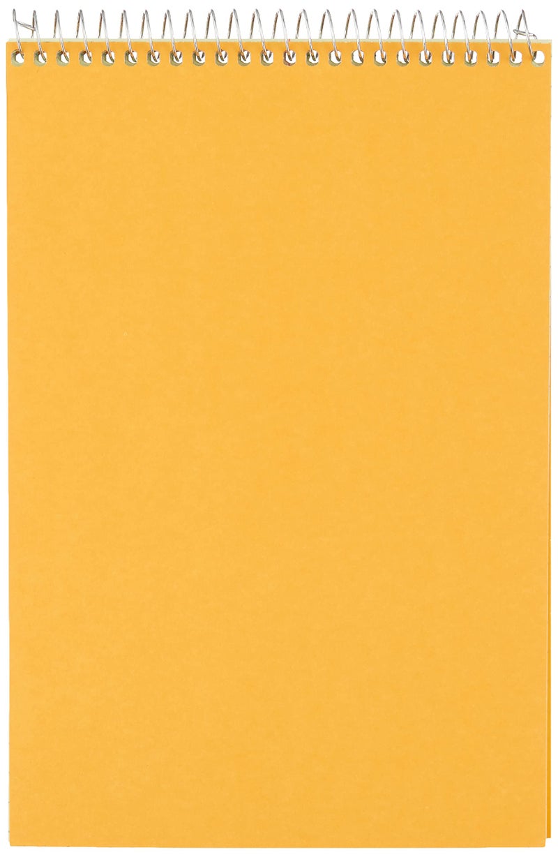 Rediform National Brand Steno Notebook with Brown Board Cover, Green Eye-Ease Paper, Gregg Ruled, 6" x 9", 12 Notebooks with 60 Sheets Each (36646-12) - Image 2