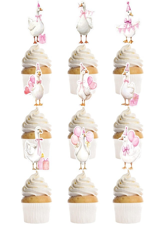 EoBeCy 36 Pcs One Funny Goose Birthday Decor for Girls, Cute Pink Goose Themed Cupcake Toppers, Fun Farm Animal Birthday Baby Shower Gender Reveal Party Supplies (9 Designs) - Image 1