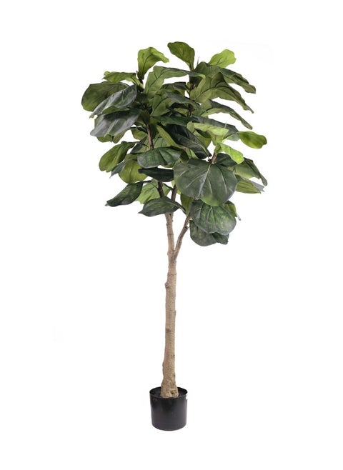 Gulf Flowers 165cm Artificial Fiddle Tree