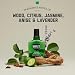 Brut Classic After Shave for Men - Absorbs Quickly to Clean and Tone Skin for a Refreshing Feel - Mens Aftershave with Iconic Masculine Scent - 5 oz - Image 3