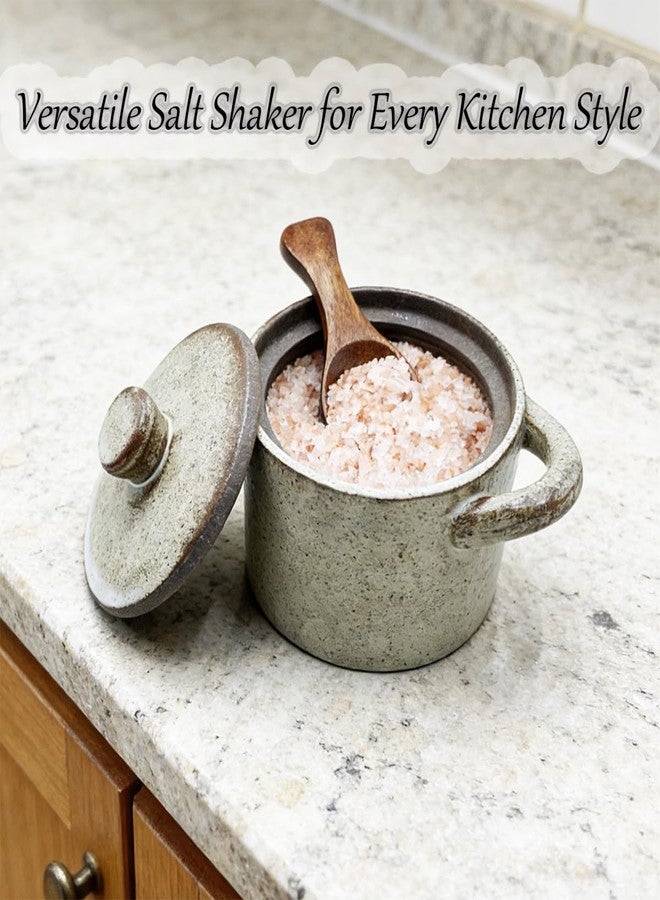 EWEIGEER Ceramic Salt Cellar With Lid & Spoon,8oz Salt Container For Countertop,Sugar Bowl,Spice Jar(Coarse Pottery Color) - Image 3