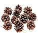 Whaline 25 Pcs Natural Pine Cones, Christmas Rustic Pinecones Bulk Ornaments with String for Crafting for Home Accent - Image 2