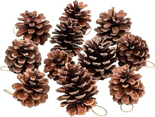 Whaline 25 Pcs Natural Pine Cones, Christmas Rustic Pinecones Bulk Ornaments with String for Crafting for Home Accent - Image 1