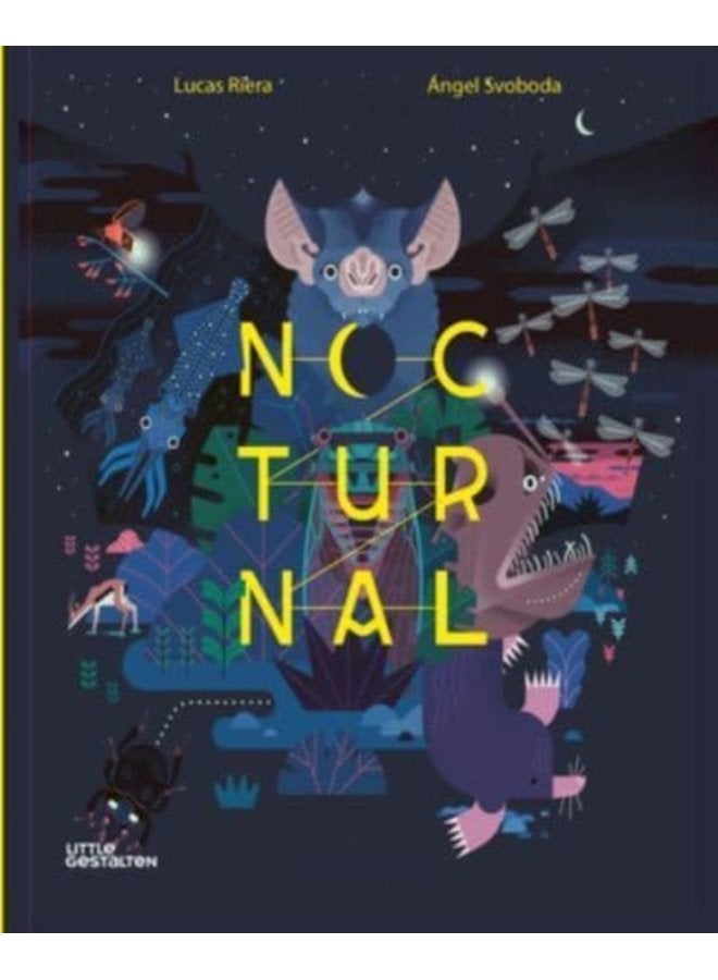 Nocturnal Animals After Dark - Hardback
