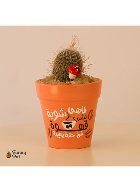 بوت صبار طبيعي