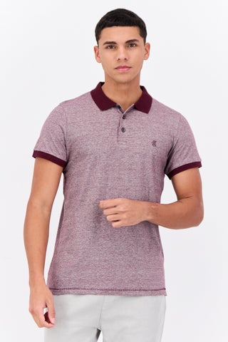 Men Regular Fit Brand Logo Short Sleeves Polo Shirt, Heather Burgundy - pzsku/ZF9106294384BE1C99B28Z/45/1746226556/b57bf29a-c20c-4db6-834e-f930f63b1135