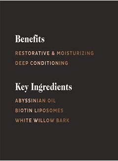 scotch porter Restorative Leave-In Beard Conditioner For Men | Deeply Conditions, Softens & Shines | Formulated With Non-Toxic Ingredients, Free Of Parabens, Sulfates & Silicones | Vegan | 4Oz Bottle  - Image 4