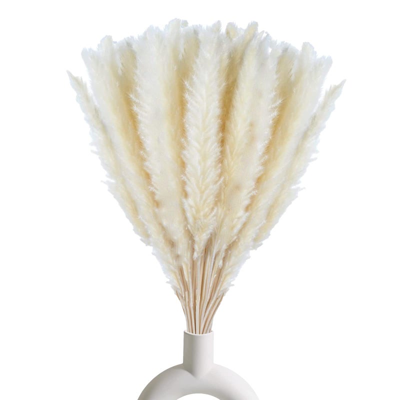 Comtelek 30 Pcs White Pampas Grass ,17 inch/45 cm Natural Dried Pampas Grass Branches Decor for Home Kitchen Garden Party Photographing Flower Arrangement Vase Decor（White - Image 1