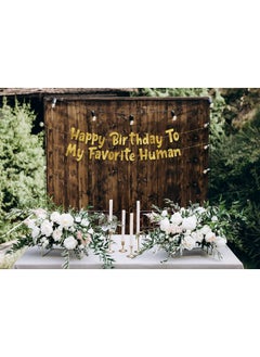 Happy Birthday To My Favorite Human - Funny Birthday Gold Glitter Banner - Birthday Party Supplies, Ideas, Gifts And Decorations - pzsku/ZF916392454E78AC6E51BZ/45/_/1732777805/2344ee46-e422-4118-a6c7-bbaf0955a618